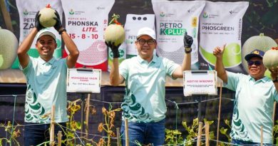 Petrokimia Gresik Sukses Tingkatkan Hasil Panen Melon Pantura Jawa Timur