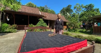 Mepe Kasur, Tradisi Unik Masyarakat Osing di Banyuwangi yang Hanya Digelar Setahun Sekali