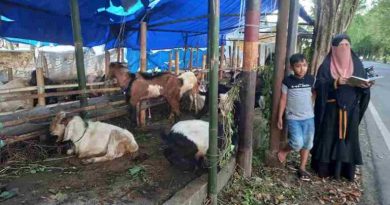 Harga Kambing Kurban di Sumenep Mulai Melonjak Rp500 Ribu hingga Rp1 Juta per Ekor