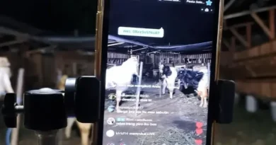 Jualan Kambing Lewat TikTok Live, This is Farm Malang Kebanjiran Order hingga ke Jakarta