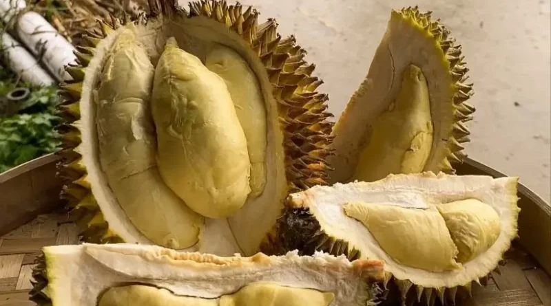 Ini Daftar Risiko Kesehatan Durian yang Enak Tapi Berbahaya Jika Kebanyakan