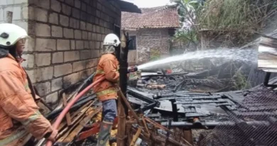 Api Ludeskan Kandang Kambing di Mojokerto, Dua Ternak Tak Sempat Diselamatkan