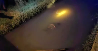 Jasad Pemuda Tanpa Identitas Ditemukan Mengapung di Sungai Sidomulyo Jombang