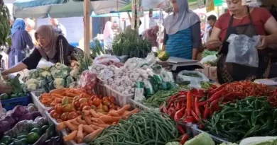 Menjelang Iduladha, Harga Sayur Mayur di Magetan Serempak Meroket, Kenaikan Capai Rp5 Ribu per Kg