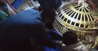 Monyet Peliharaan Kabur dan Serang Lansia 77 Tahun serta Pemuda di Bareng Jombang